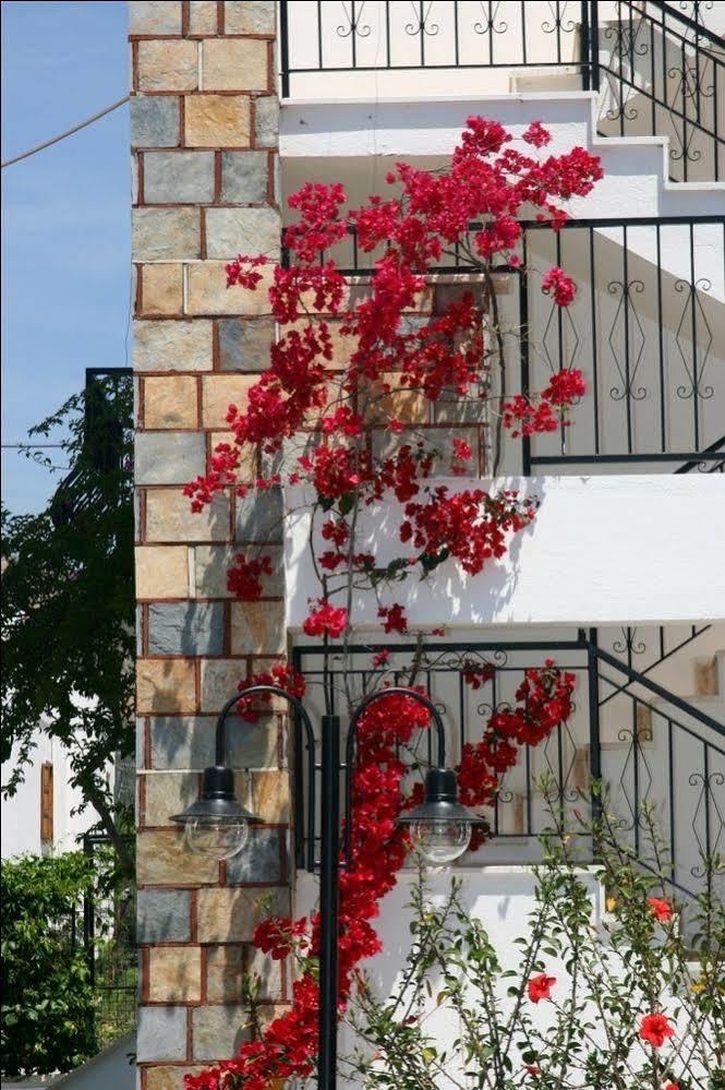 Agar Apart Hotel Gümbet Dış mekan fotoğraf